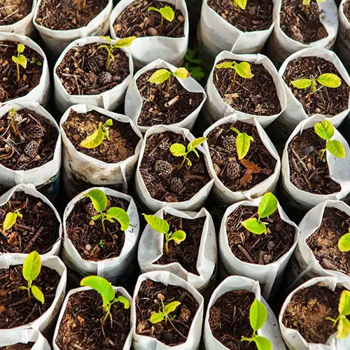 Respect des zones protégées