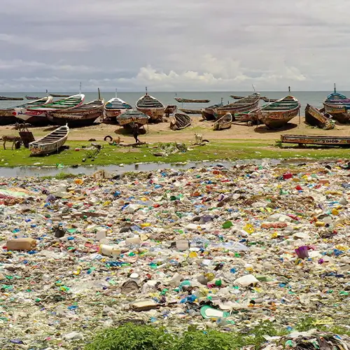 Protection des fonds marins