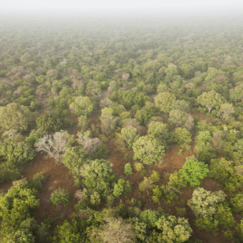 Le changement climatique une réalité incontestable