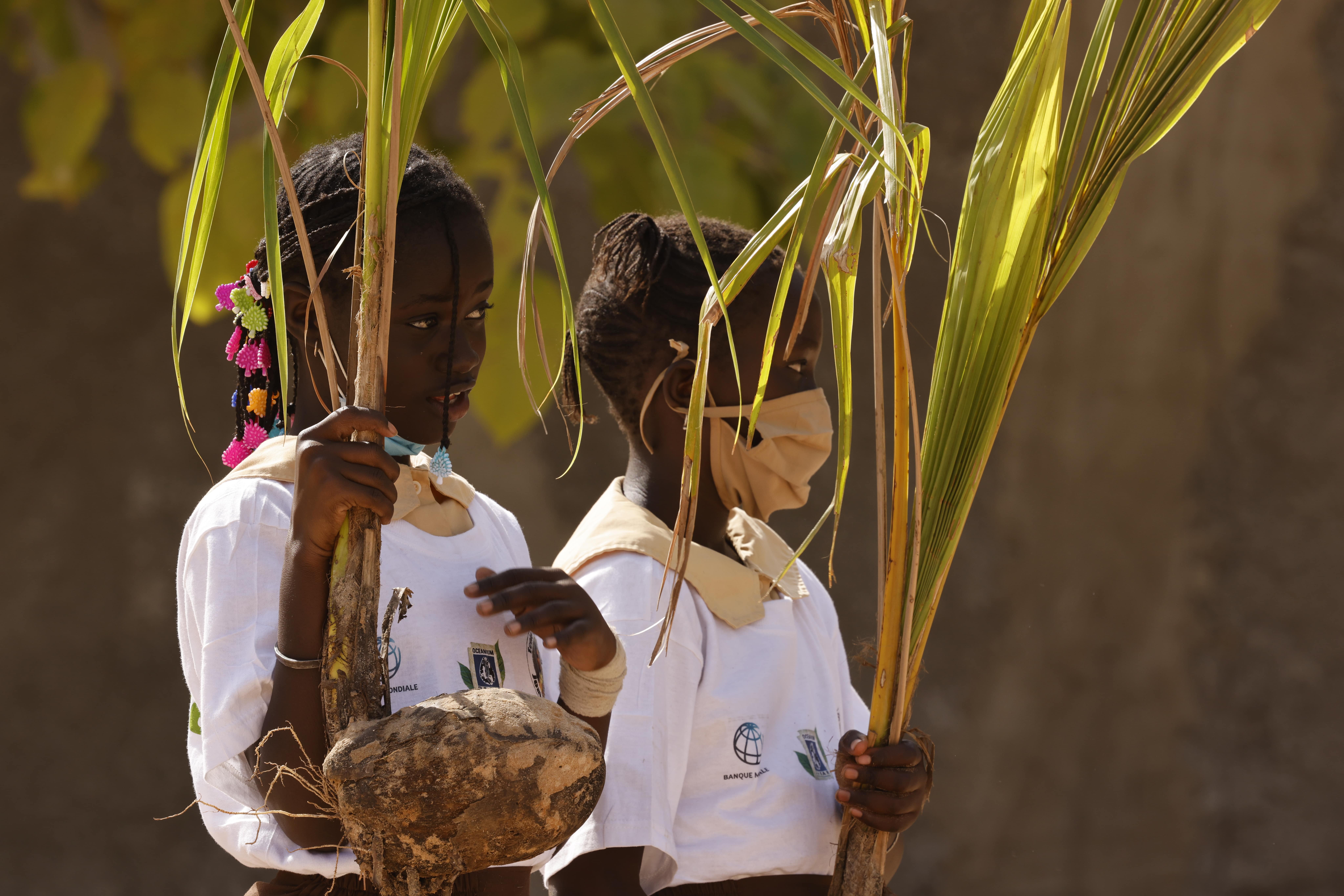 Sensibilisation reforestation