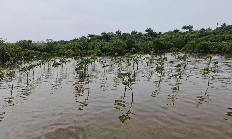 La protection de l’environnement